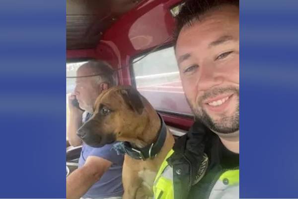 Tropical Storm Ophelia: NC police chief rescues dog tied up as floodwaters rise