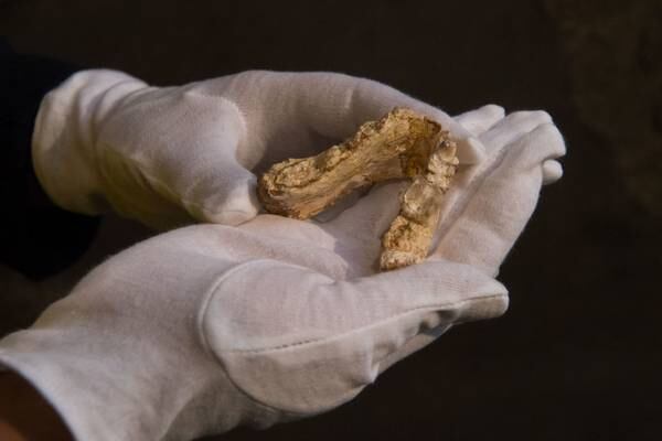 Prehistoric human jawbone found in Iowa River